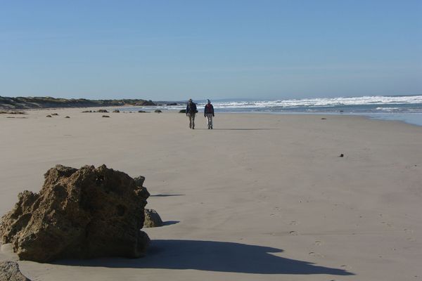 Great South West Walk Highlights - 8 Days